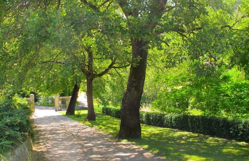 San Giovanni Valdarno Apartment | Cosy apartment for 5 guests with WIFI, pool, TV, pets allowed and parking
