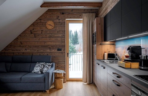 Dolni Morava Apartment | Cosy apartment for 6 guests with WIFI, TV, terrace and parking