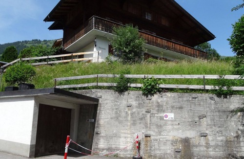 Lenk Apartment | Cosy apartment for 8 guests with WIFI, balcony and pets allowed