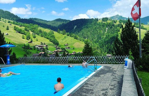 Ruedisbach Apartment | Cosy apartment for 8 people with hot tub, WIFI, TV, balcony and pets allowed
