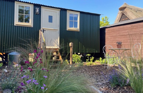 Cambridge Cabin | Cosy, boutique Shepherd's Hut near Cambridge; free bicycles