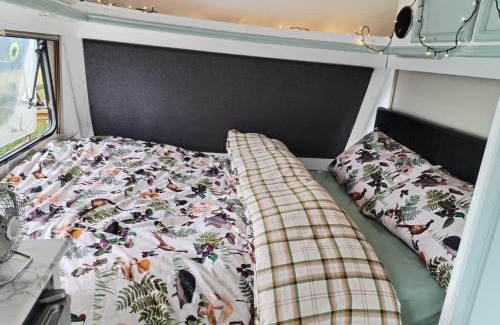 Newtown Other | Cosy Caravan Walkers Ramblers Fishermen Cyclists