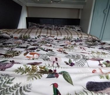 Newtown Other | Cosy Caravan Walkers Ramblers Fishermen Cyclists