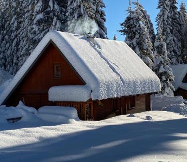Goreljek Ski Chalet | Cosy Chalet on Pokljuka - Brunarica Tinkara