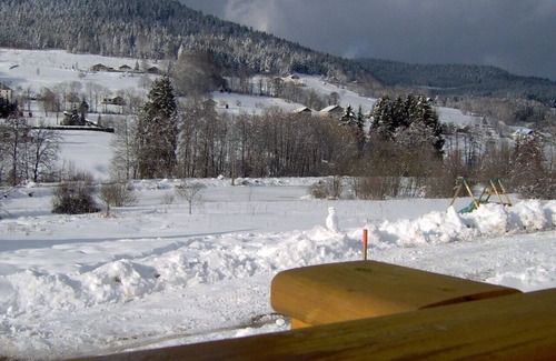 Le Syndicat Ski Chalet | Cosy chalet with breathtaking views of the pond and valley in the Vosges mountains