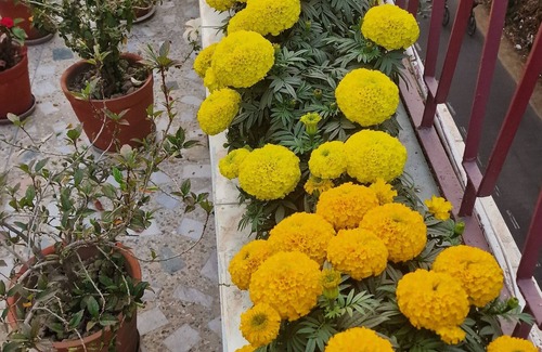 Phool Bagan Apartment | Cosy Comfortable safe stay at affordable price in Kolkata #3