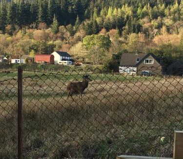 Glencoe House | Cosy Cottage