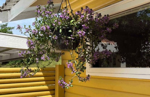 Boderne House | Cosy cottage in forest just 100 m from the beach