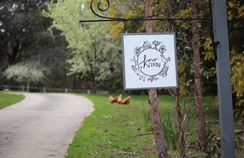 Dry Diggings House | Cosy cottage with fire place and close to Daylesford