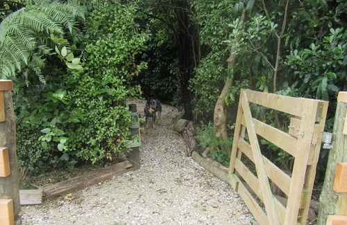 Waitaria Bay Apartment | Cosy couples retreat Waitar Cabin