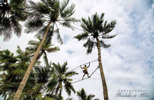 Daluwakotuwa Cottage | Cosy furnished indépendant cottage near Negombo beach