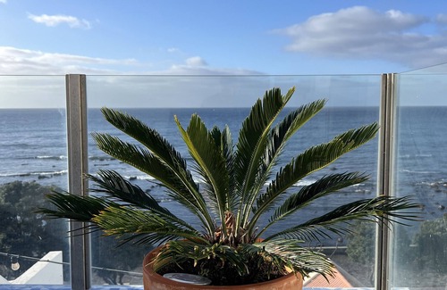 Vila Franca do Campo House | Cosy house with a magnificent ocean view