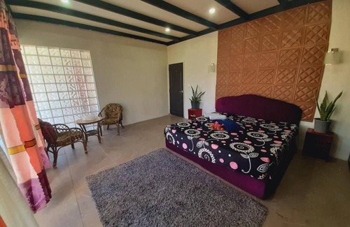 Pacific Harbour Bed & Breakfast | Cosy Nature's Best sites for shark diving, Waterfalls, village tours.