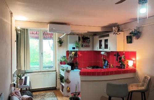 Satu Mare Apartment | Cosy Nest on Floor 4 of 4