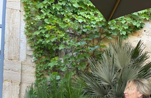 Irstead Cabin | Cosy Shepherds hut set in Meadow and Woodland Near Sandy Beaches