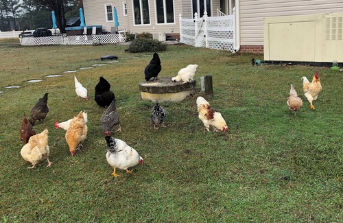 Fentress Apartment | Cosy studio apartment over garage. Half hour from VB - 1 hour from Outerbanks