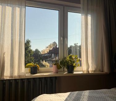 Teika Apartment | Cosy Teika Apartment
