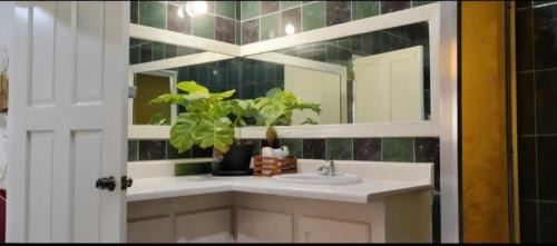Woodbrook Apartment | Cosy Uptown Apartments 6 Minutes to the City Centre