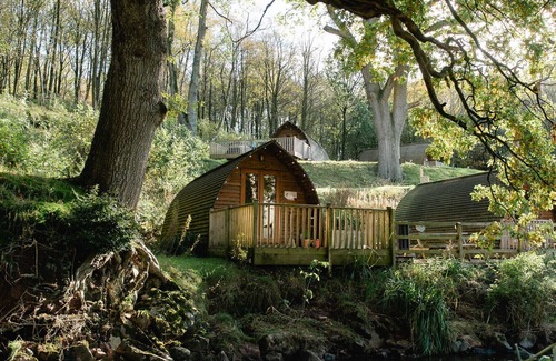 Wing Cabin | Cosy Woodland Cabin with Hot Tub
