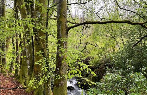 Saint John's Town of Dalry House | Cosy woodland off grid Shepherds Hut - Hazel