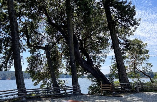 Sooke Cottage | Cottage 3& 4 with Waterfront and Beach Access