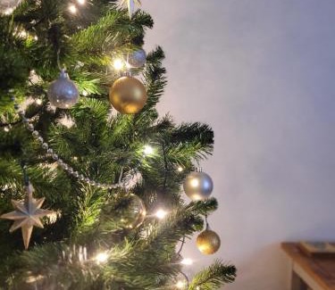 Newcastle Emlyn House | Cottage by the river in Cenarth with fishing and Wifi