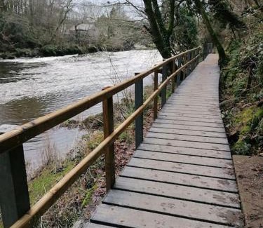 Newcastle Emlyn House | Cottage by the river in Cenarth with fishing and Wifi