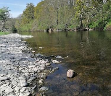 Newcastle Emlyn House | Cottage by the river in Cenarth with fishing and Wifi