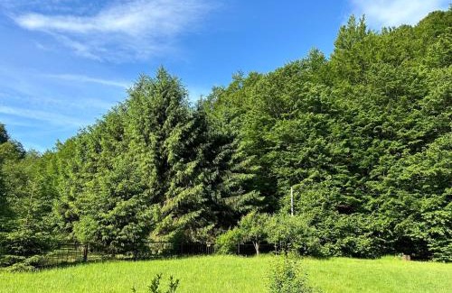 Poieni House | Cottage by the river Valea Draganului