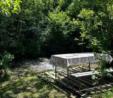 Arpasu de Sus House | Cottage Bytheriver