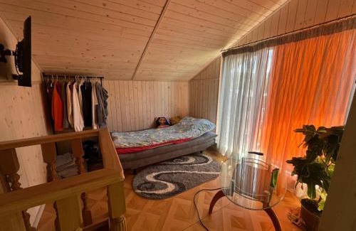 Verbovets House | Cottage 'Carolina' with hot tub, sauna and BBQ area