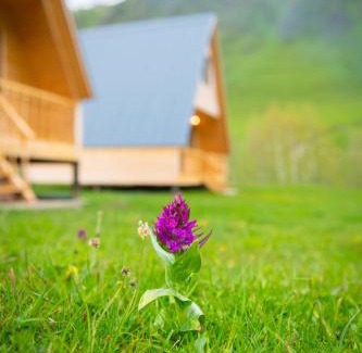 Zhibiani Apartment | Cottage Caucasus