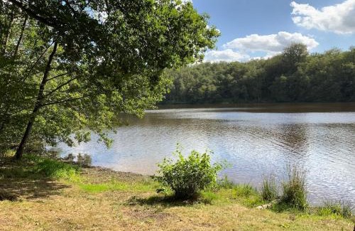 Signy-le-Petit House | Cottage entier 4 ou 6 personnes gîte 19