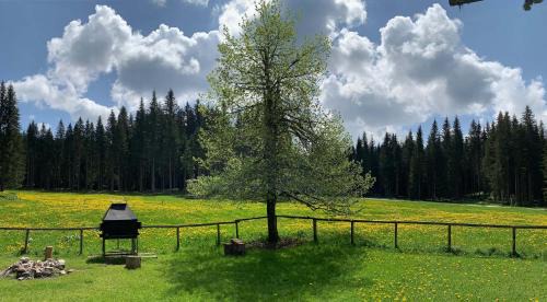 Zgornja Sorica Ski Chalet | Cottage for big groups, nature is calling