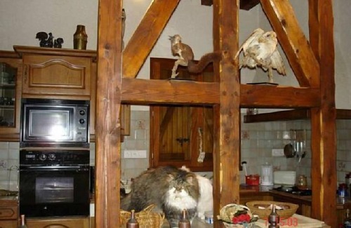 Bareilles Cottage | Cottage Gîte familial Fouga for 8 people