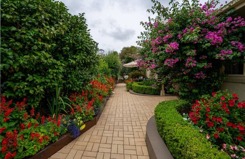 Catalina Apartment | Cottage Garden Suite on Derribong