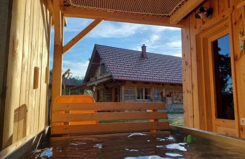 Radlje ob Dravi House | Cottage Golenovo