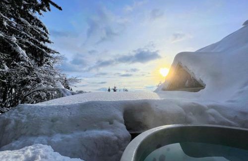 Ambroz pod Krvavcem Ski Chalet | Cottage House Jakob