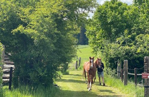 Fischbach House | Cottage House Weyer - Mare&Filly Room