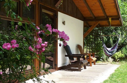 Krokowa House | Cottage in a Birch Forest - In quiet greenery