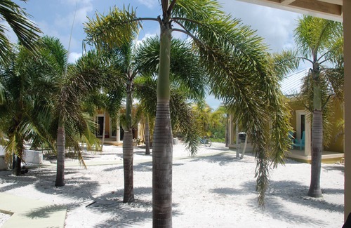 Sandy Point Cottage | Cottage in an Oasis of Palm Tree's with a Pool - 5mn from Beach!