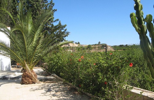 Archena Cottage | Cottage in Huerta
