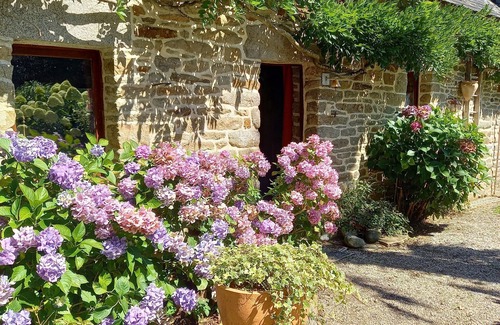 Baye House | Cottage in local stone/between land and sea