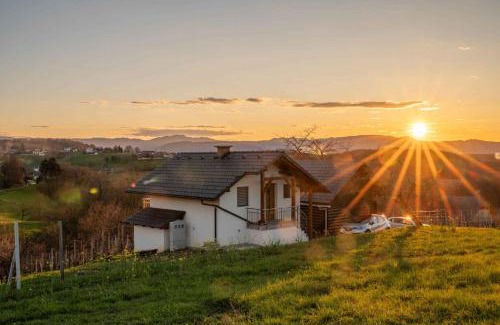 Novo Mesto House | Cottage in Novo Mesto 50797