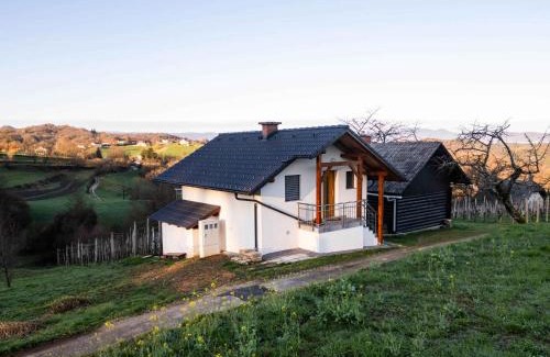Novo Mesto House | Cottage in Novo Mesto 50797