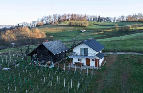 Novo Mesto House | Cottage in Novo Mesto 50797
