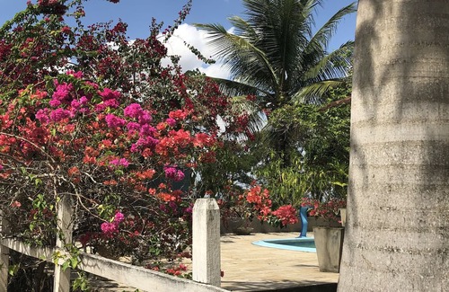 Northeast Region Cottage | Cottage in the countryside, within a cozy village. Next to one of the largest restaurants in the state, The Trapiá.