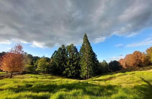 Maleny House | Cottage in The Woods, Maleny