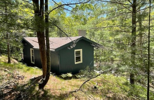 Pentwater Cottage | Cottage in the woods-Lake MI access