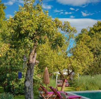 Vedzebi Resort | Cottage Kisi